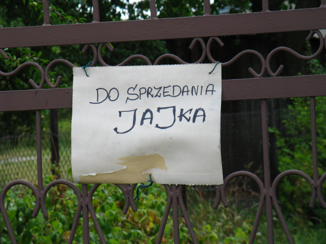 jajka