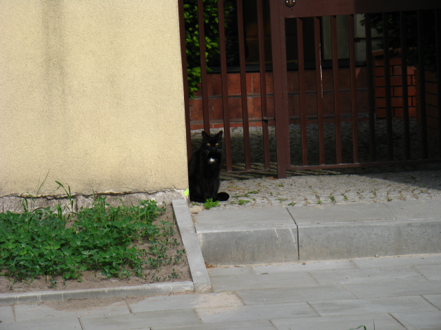 lokaj